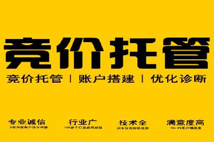 创新营销策略：专业SEM托管的成功故事